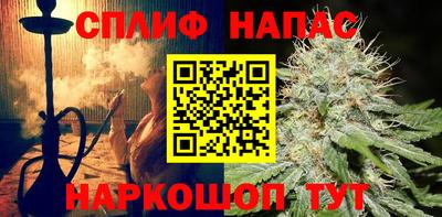 spice Кингисепп
