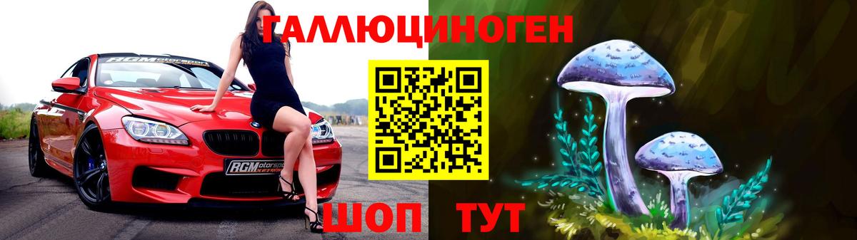 Армавир  Галлюциногенные грибы прущие грибы  Вход с VPN 