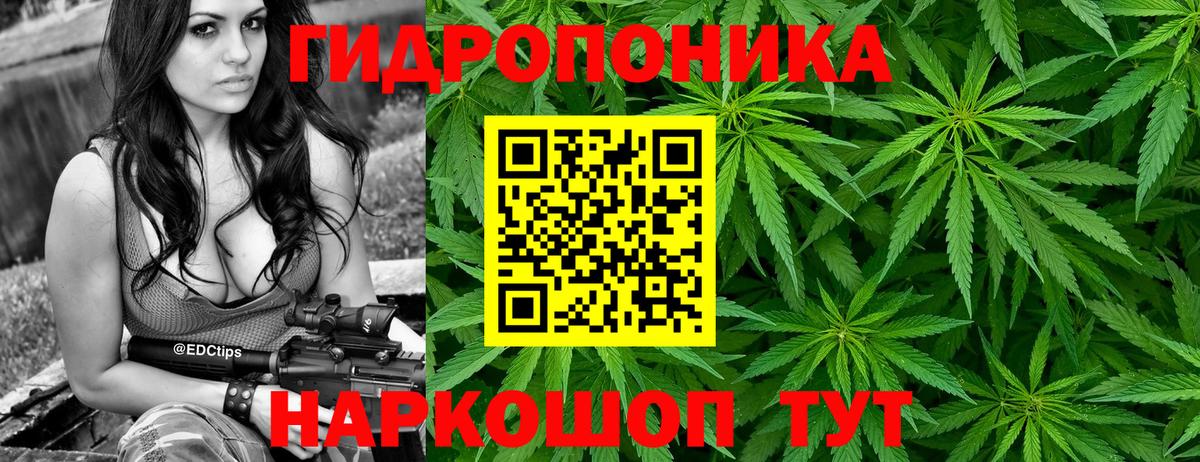 Бошки марихуана планчик  Шишки марихуана VHQ  Вход с VPN  Армавир  Шишки марихуана семена 